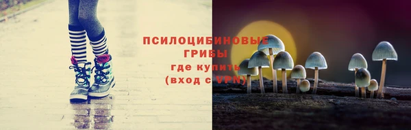 прущие грибы Алзамай