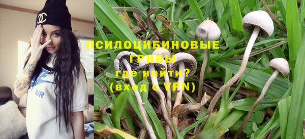 прущие грибы Алзамай