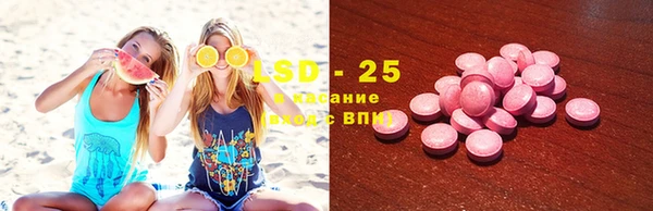 прущие грибы Алзамай