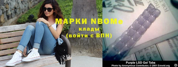 прущие грибы Алзамай