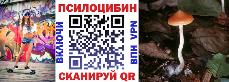 Псилоцибиновые грибы Cubensis  Североуральск 